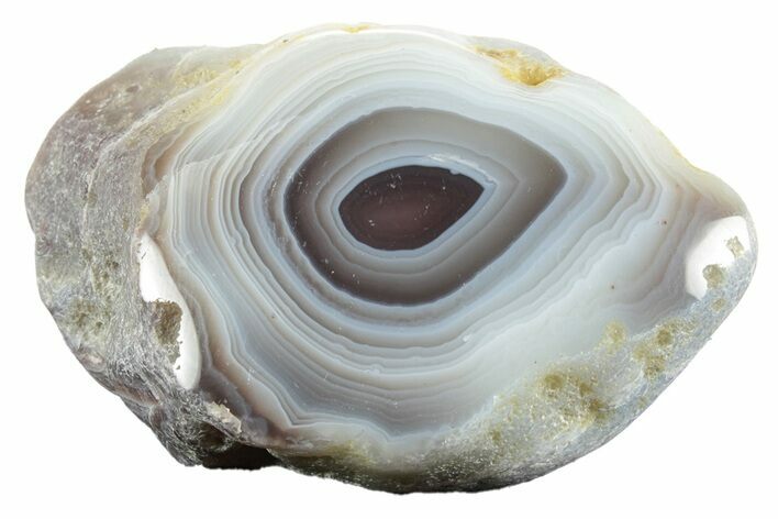 Polished Botswana Agate - Botswana #247994